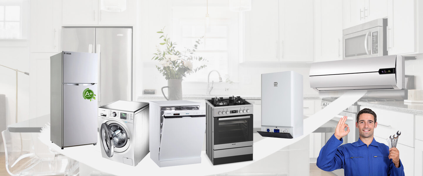 Hanak Dominox Servisi